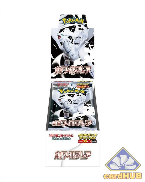 White Flare Box Display DELUXE 4 buste - JAP